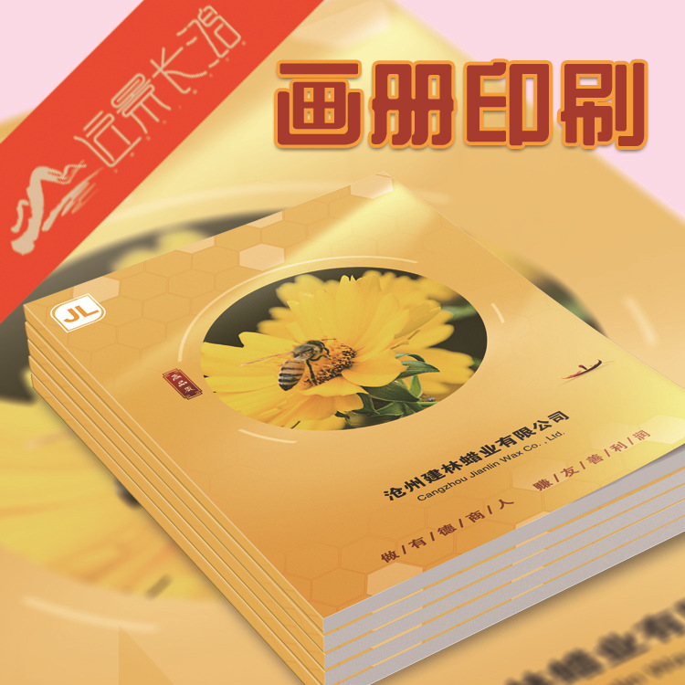 司產(chǎn)品圖冊說明書  企業(yè)宣傳畫冊印刷設(shè)計公 印刷畫冊